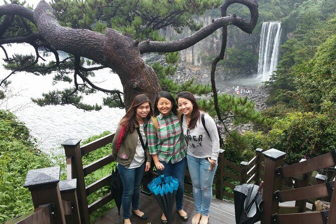 2 Days Private Taxi Tour - West and South of Jeju Island - Private taxi logistics: what it’s like in real life