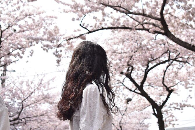 2025 Cherry Blossom East Day Tour in Jeju with UNESCO - Key highlights worth penciling in