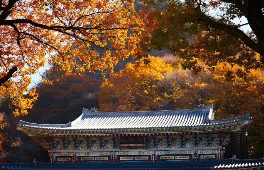 2025 Jeju Autumn Tour with Pink Muhly Festival - Seongsan Ilchulbong: hike time plus the Haenyeo show