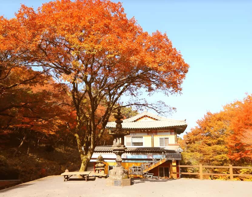 2025 Jeju Autumn Tour with Pink Muhly Festival - Price and value: what $95 really covers (and what it doesn’t)
