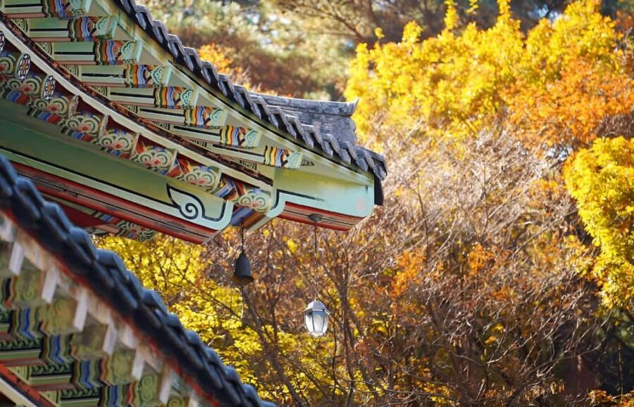 2025 Jeju Autumn Tour with Pink Muhly Festival - Weather-friendly autumn: what you’ll actually see
