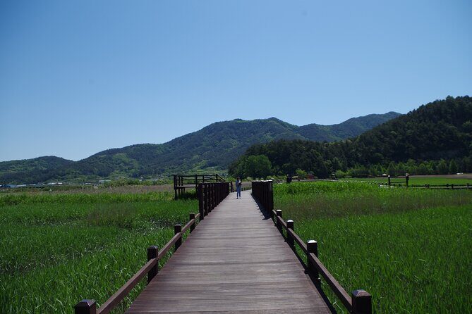 3-Day Korea Western course by K-shuttle Tour from Seoul to Busan - Guides, Hotels, and the Parts You’ll Feel Day to Day