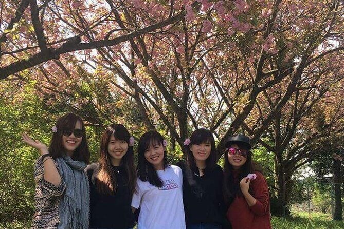 3 days Private Taxi Tour in Jeju Island - What the driver-guides add (and what to ask on day one)