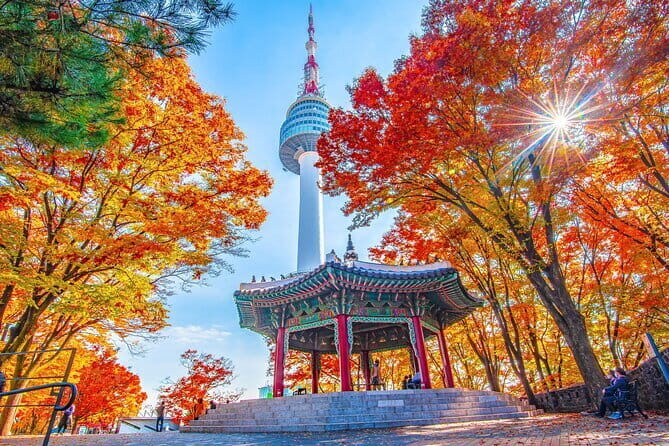 7 days Flexible Tour for Major Cities(Seoul,Busan,Gyeongju etc) - What $2,000 covers (and why it can be good value)