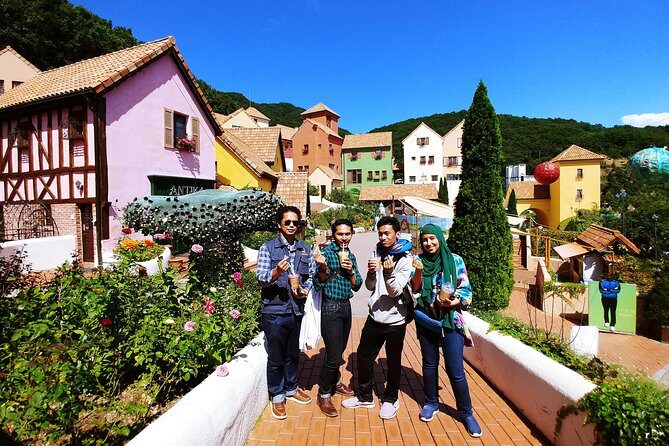 All Day Private Make your own plan tour to Nami Island and others - Petite France: puppet shows that actually land