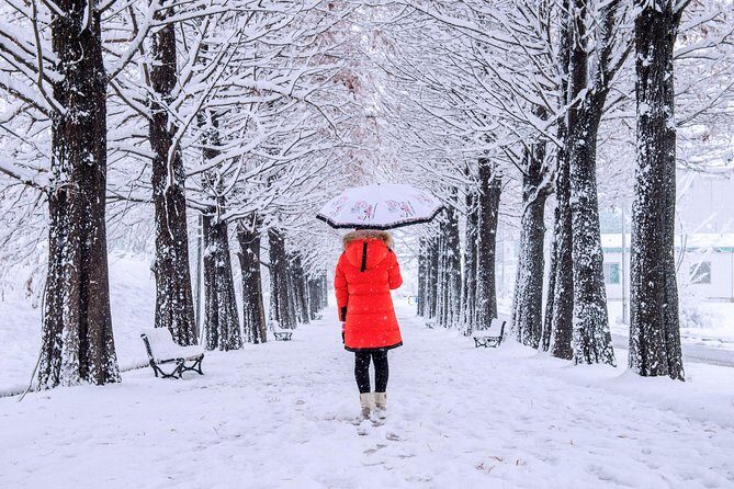 All Day Private Make your own plan tour to Nami Island and others - Nami Island: romantic winter stroll time