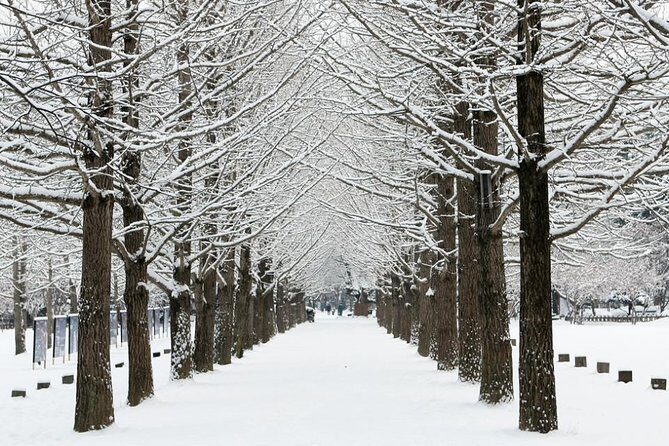 All Day Private Make your own plan tour to Nami Island and others - The Garden of Morning Calm and the Light Festival moment