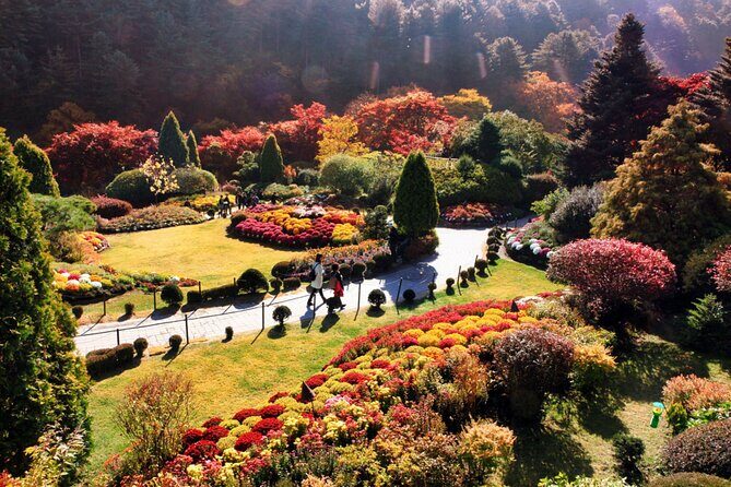 Alpaca World & Nami Island & Garden of Morning Calm One Day Tour - Price and Value: Why It Often Feels Worth It at $78.52