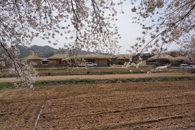 Andong Hahoe Folk Village [UNESCO World Heritage] Private Tour from Seoul - Price check: what you’re paying for at $286 per person