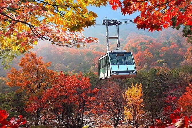 Autumn Foliage-Mt. Seorak, Sokcho Fish Market, Sokcho Beach - Key highlights worth planning for