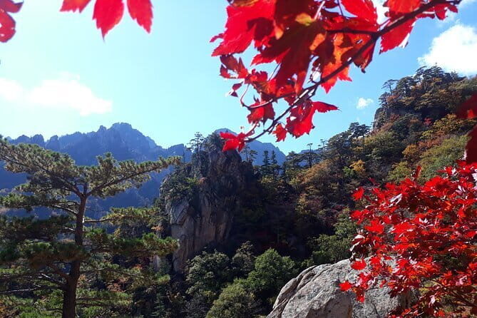 Autumn Foliage-Mt. Seorak, Sokcho Fish Market, Sokcho Beach - Why Seoraksan + Sokcho works so well in autumn