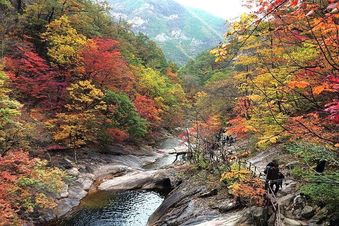 Autumn Foliage-Mt. Seorak, Sokcho Fish Market, Sokcho Beach - Seoraksan National Park: autumn color, temple landmarks, and smart choices