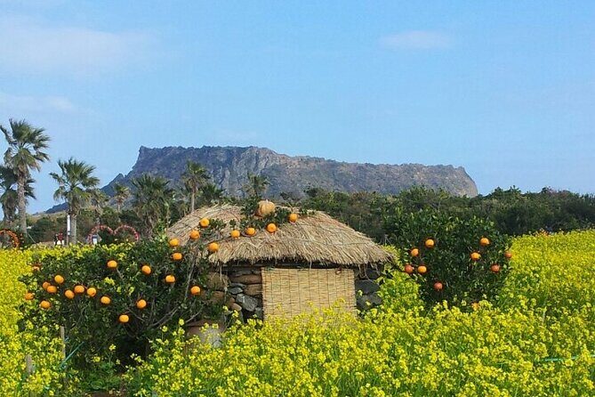 Beautiful Jeju Island Private UNESCO day Tour - Key things that make this Jeju tour work