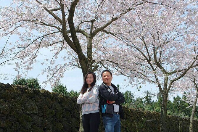 Beautiful Jeju Island Private UNESCO day Tour - Price and Logistics: what $160 really buys you
