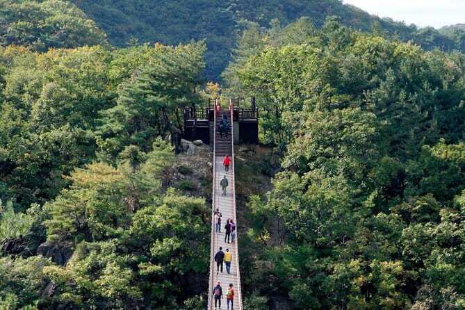Best Korea DMZ Private Tour from Seoul (and Suspension Bridge) - Why this DMZ private day trip feels different