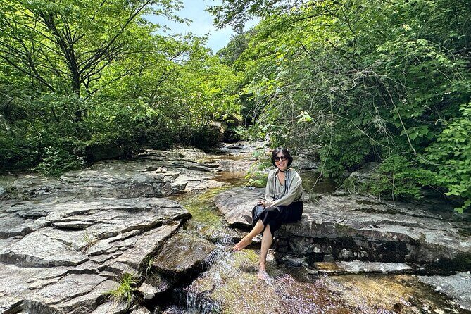 Boseong Tour : Green Tea Field, Mountain & Lake Trail (Private) - Lunch in Boseong-eup: grilled pork patties with green tea powder