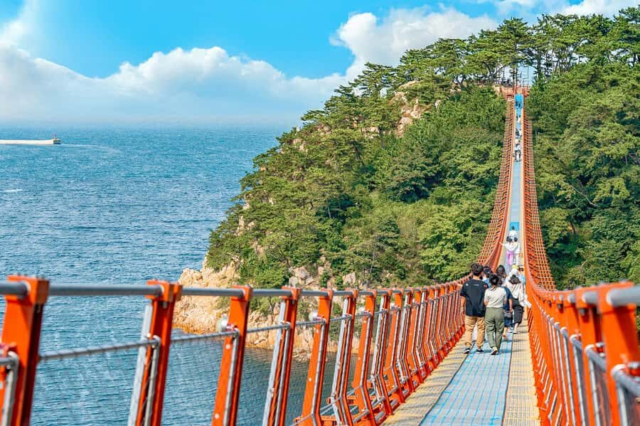 Busan: 7 Highlights Gyeongju City One Day Tour - Key highlights worth planning for