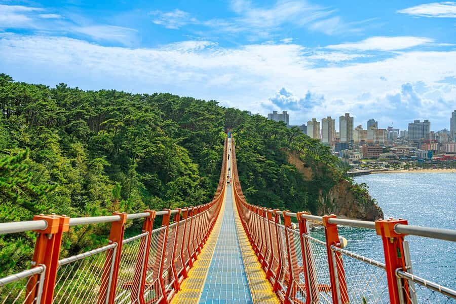Busan: 7 Highlights Gyeongju City One Day Tour - Busan pick-up, seven sites, and why this beats DIY