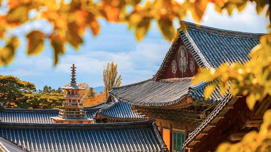 Busan: 7 Highlights Gyeongju City One Day Tour - Hwangnidan-gil pedestrian street and the 10 won bread stop