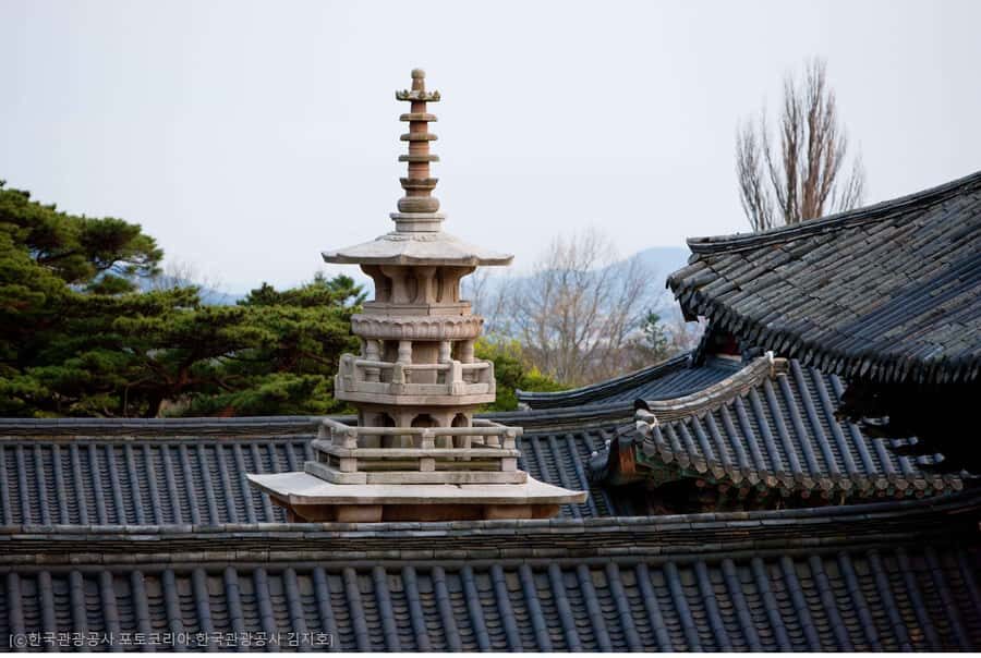 Busan: 7 Highlights Gyeongju City One Day Tour - Who this tour fits best (and who should skip it)