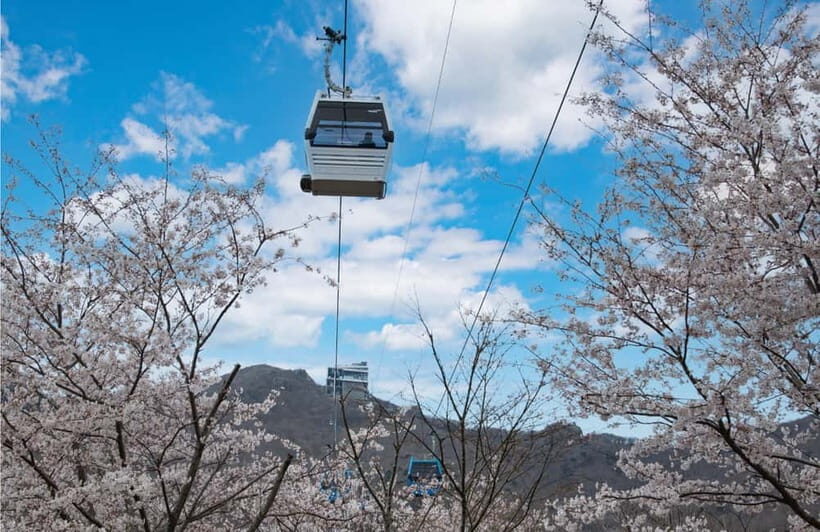 Busan: A1.Hidden Gem Geoje & Oedo Botania Island& Cable car - Stop 2: Geoje-bound van ride (about 100 minutes)