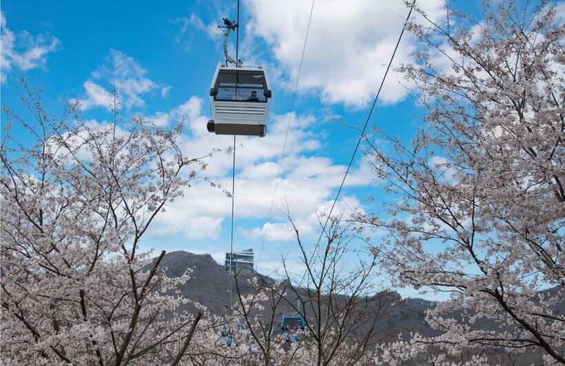 Busan: A1.Hidden Gem Geoje & Oedo Botania Island& Cable car - Stop 7: Dojangpo cruise (about 70 minutes)