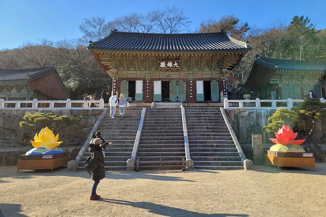 Busan Beomeosa Temple & Hongbeopsa Temple with temple lunch - Who this tour is best for