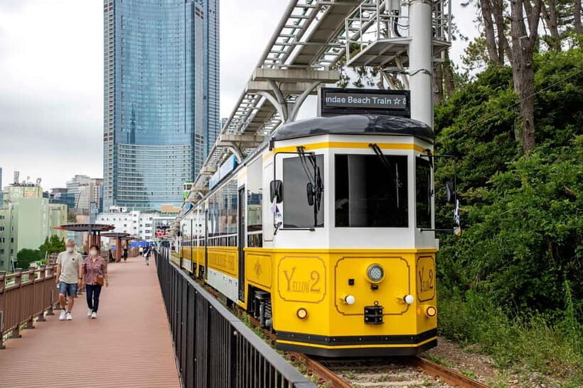 Busan: Busan 9 Highlights Tour - Key points before you go