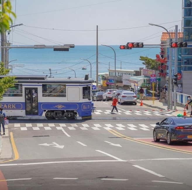 Busan City Private Chartered Car tour - Key Highlights You’ll Feel Immediately