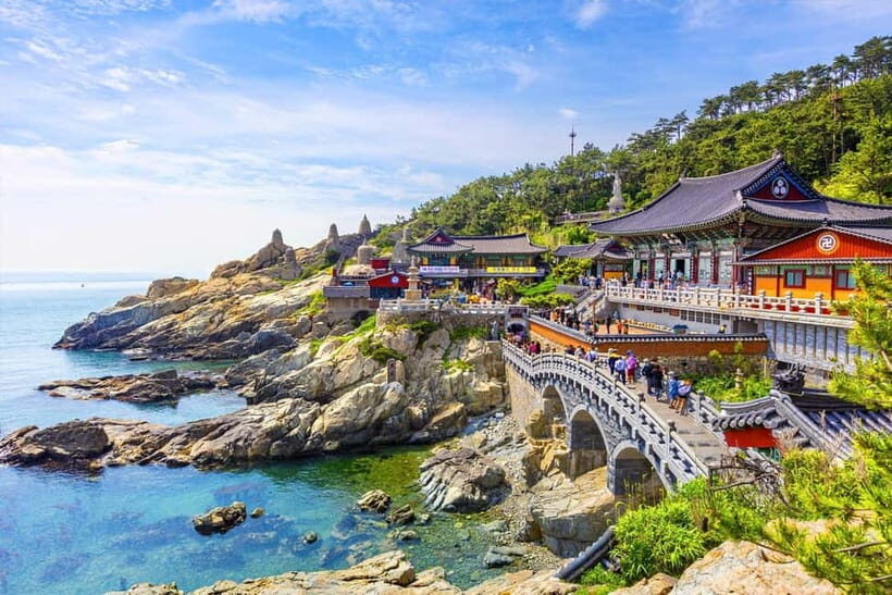 Busan City Private Chartered Car tour - A Typical 9-Hour Day in Busan (and How to Make It Work)