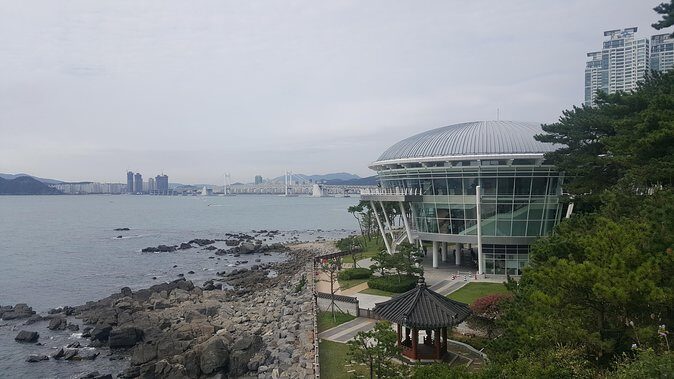 Busan city tour from Seoul by KTX bullet train - Busan in one day: what this tour actually delivers