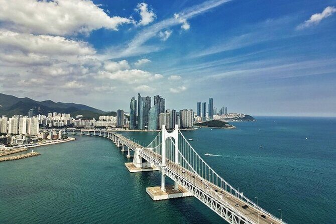 Busan Day Trip from Seoul by KTX - Private Tour with Local Guide - Jagalchi Market: Seafood Reality and a Solid Hour of Stimulation