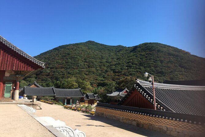 Busan day trip including Gamcheon culture village from Seoul by KTX train - Price and Logistics: Is $454 Worth It?