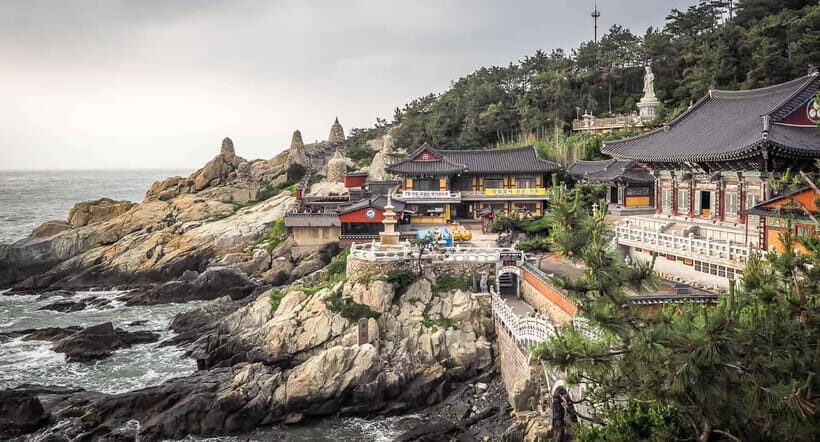 Busan: Day Trip with Gamcheon Culture Village and Sky Walk - Premium pacing: what the 8-hour route feels like