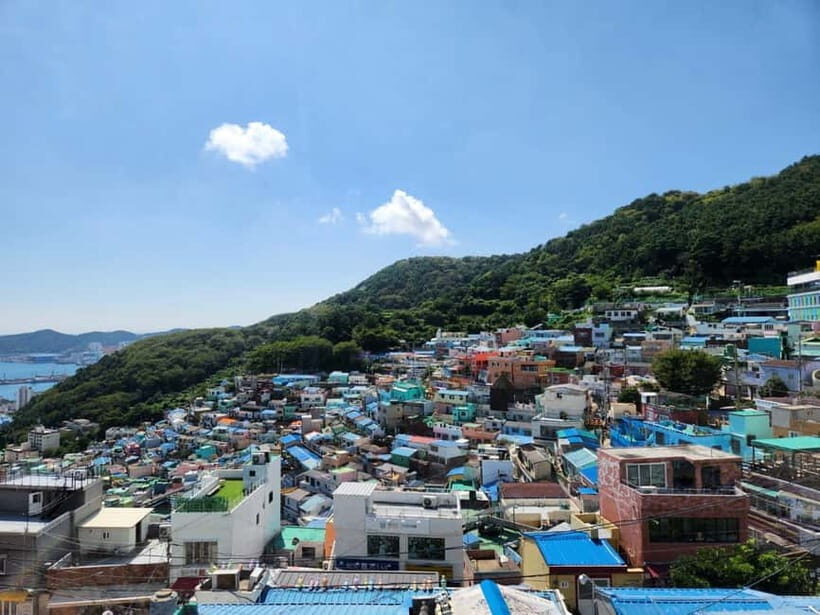 Busan: Day Trip with Gamcheon Culture Village and Sky Walk - Songdo Sky Walk: coastline views you can actually enjoy