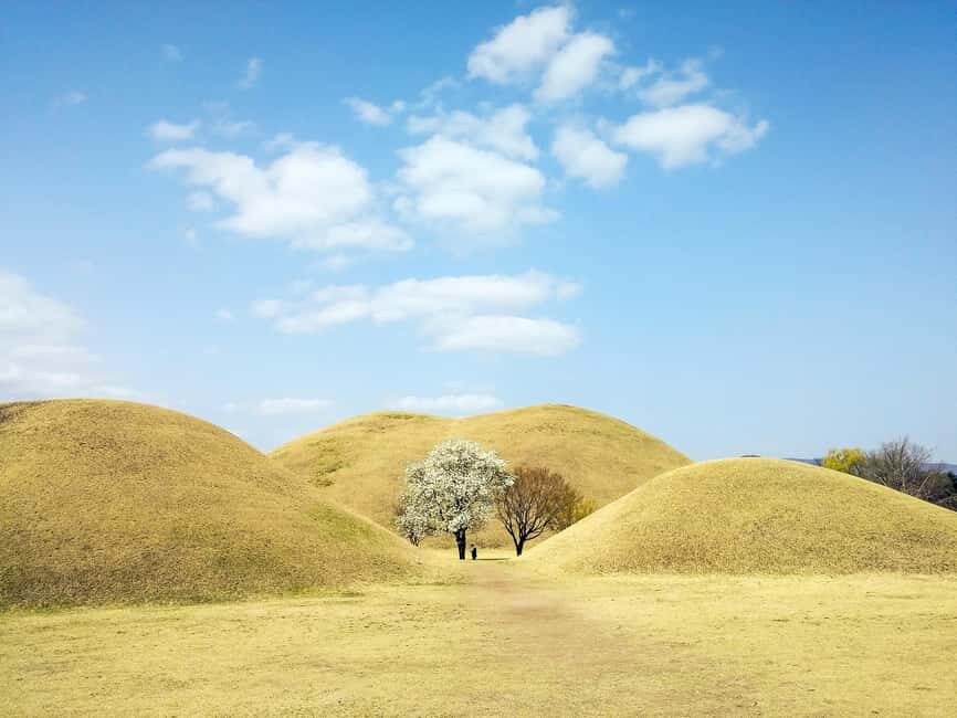 Busan + Gyeongju One Day Tour from Busan - Daereungwon Tomb Complex: Big Past You Can Actually Stand In