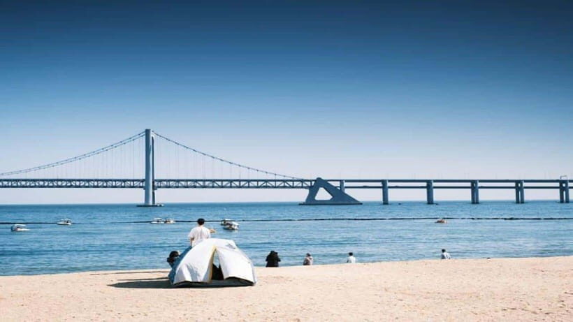 Busan: Jagalchi Market & Gamcheon village Walking Tour - A private 4-hour loop that gets you oriented fast