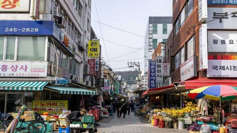 Busan: Jagalchi Market & Gamcheon village Walking Tour - Price and value: what $106 really buys you