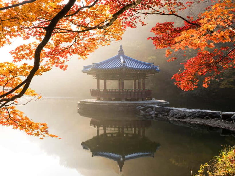 Busan: Naejangsan National Park Autumn Foliage One Day Tour - Inside the park: guided route first, then freedom