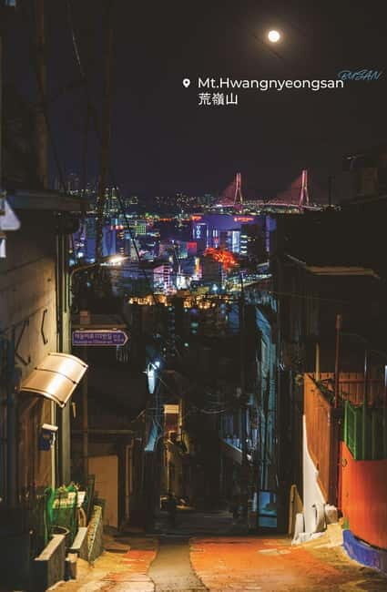 Busan Night Tour & Optional Snapshots - Who should book this night tour?