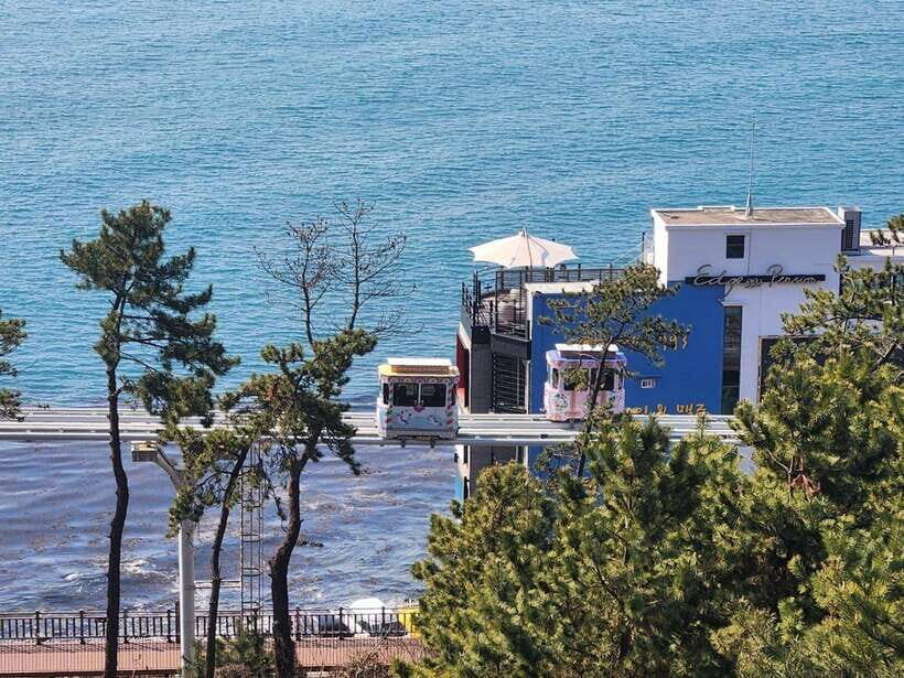 Busan private tour - Stop 1: Cheongsapo Daritdol Observatory and Skywalk area (about 1 hour)