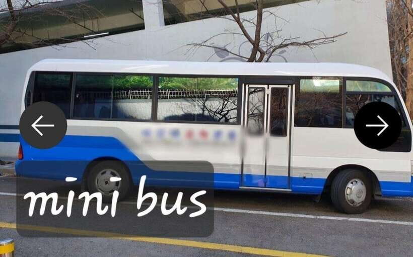 Busan private tour - Stop 5: Dongbaekseom for about 1 hour (coastal views with guided time)