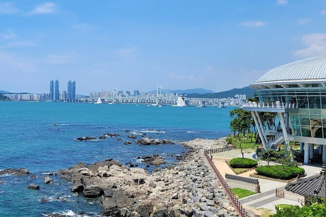 Busan private tour : K-pop dance class + tour - Who this tour fits best (and who should pick something else)