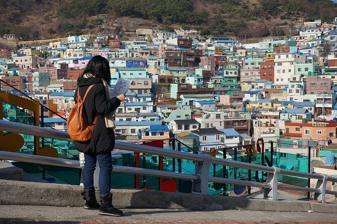 Busan Private Walking Tour with a Local - Starting at Jagalchi Market: where your walking tour really begins