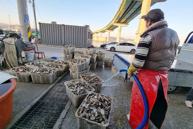 Busan Seafood Tour : Oyster village Tour with Oyster cuisines - Getting to Hadan and out to the island village