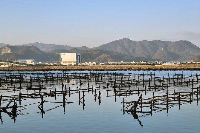 Busan Seafood Tour : Oyster village Tour with Oyster cuisines - Who should book this oyster village tour