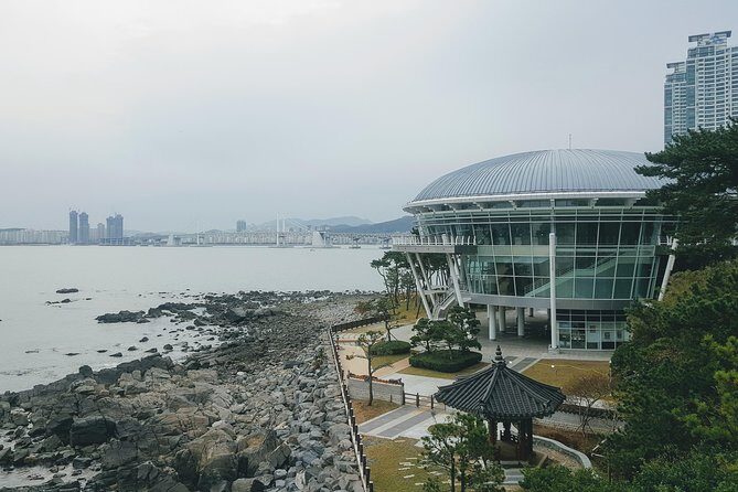 Busan Shore Excursion; Private City Tour - BIFF Square: Movie District History in a Short Stop