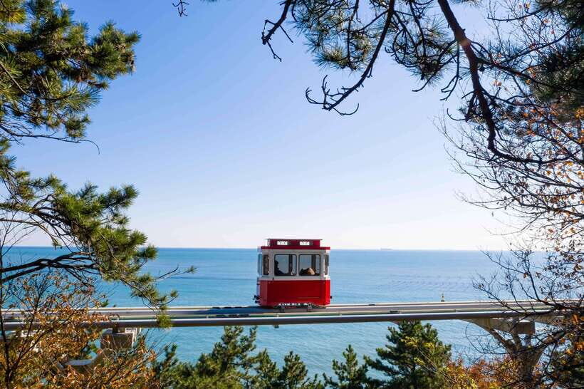 Busan: Sunset Haeundae Sky Capsule & Busan Night view Tour - Who this tour suits best