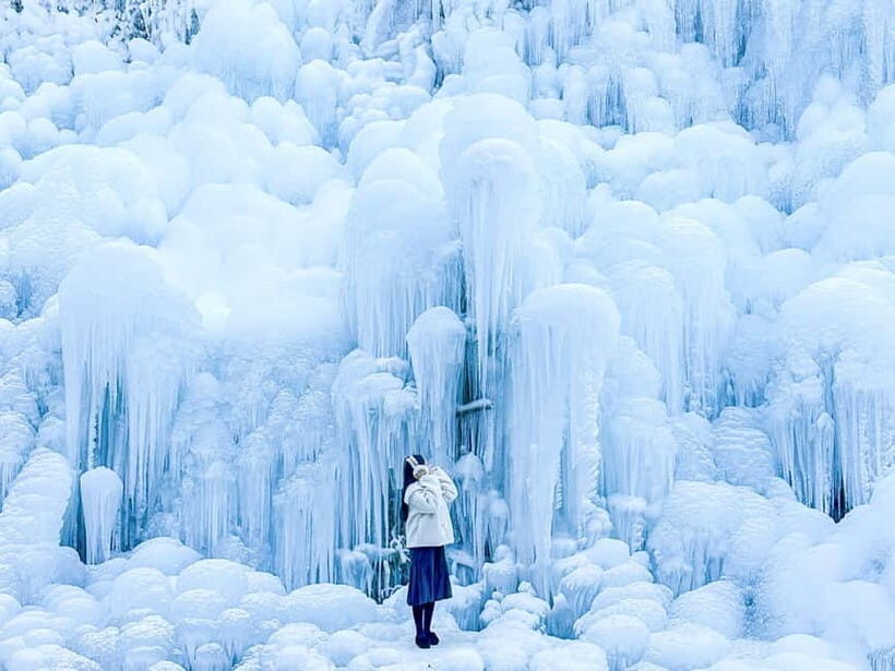 Busan: Winter Healing Park and (Gyeongju/Daegu) One Day Tour - Key Points That Matter Before You Go