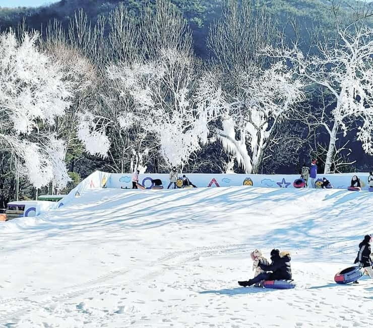 Busan: Winter Healing Park and (Gyeongju/Daegu) One Day Tour - Kookmin Healing Park: Sled Rides, Ice Walks, and the Optional Canoe